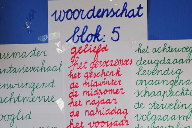 Groep 5 en 6